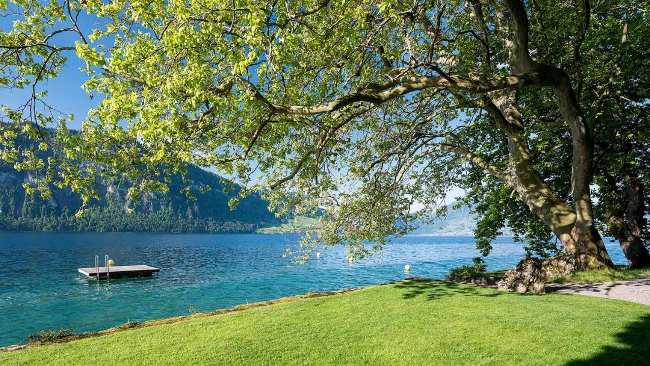 Hotel Campus Hertenstein Weggis