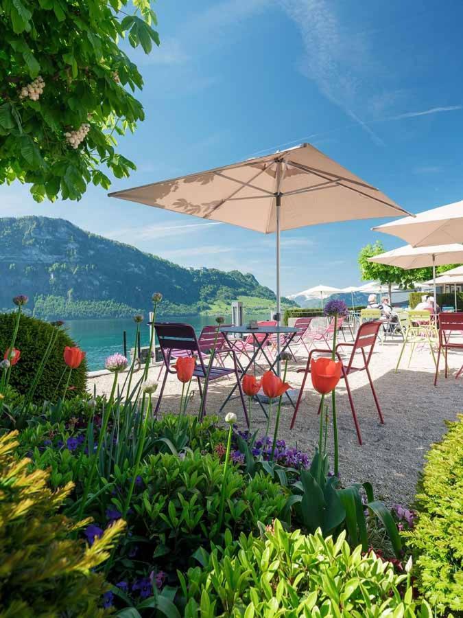 Hotel Campus Hertenstein Weggis